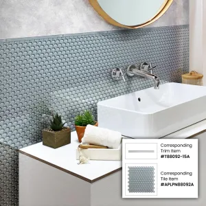 10 pack Gray 0.6-in W x 12-in L High-Quality Glass Glossy Pencil Liner Tile Trim (0.5 Sq ft/case) - Sample