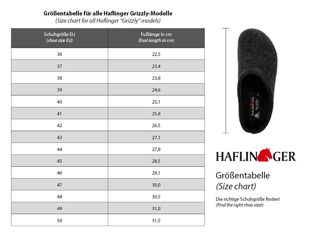 HAFLINGER Women Felt Clogs 'Grizzly Rübli', stone gray